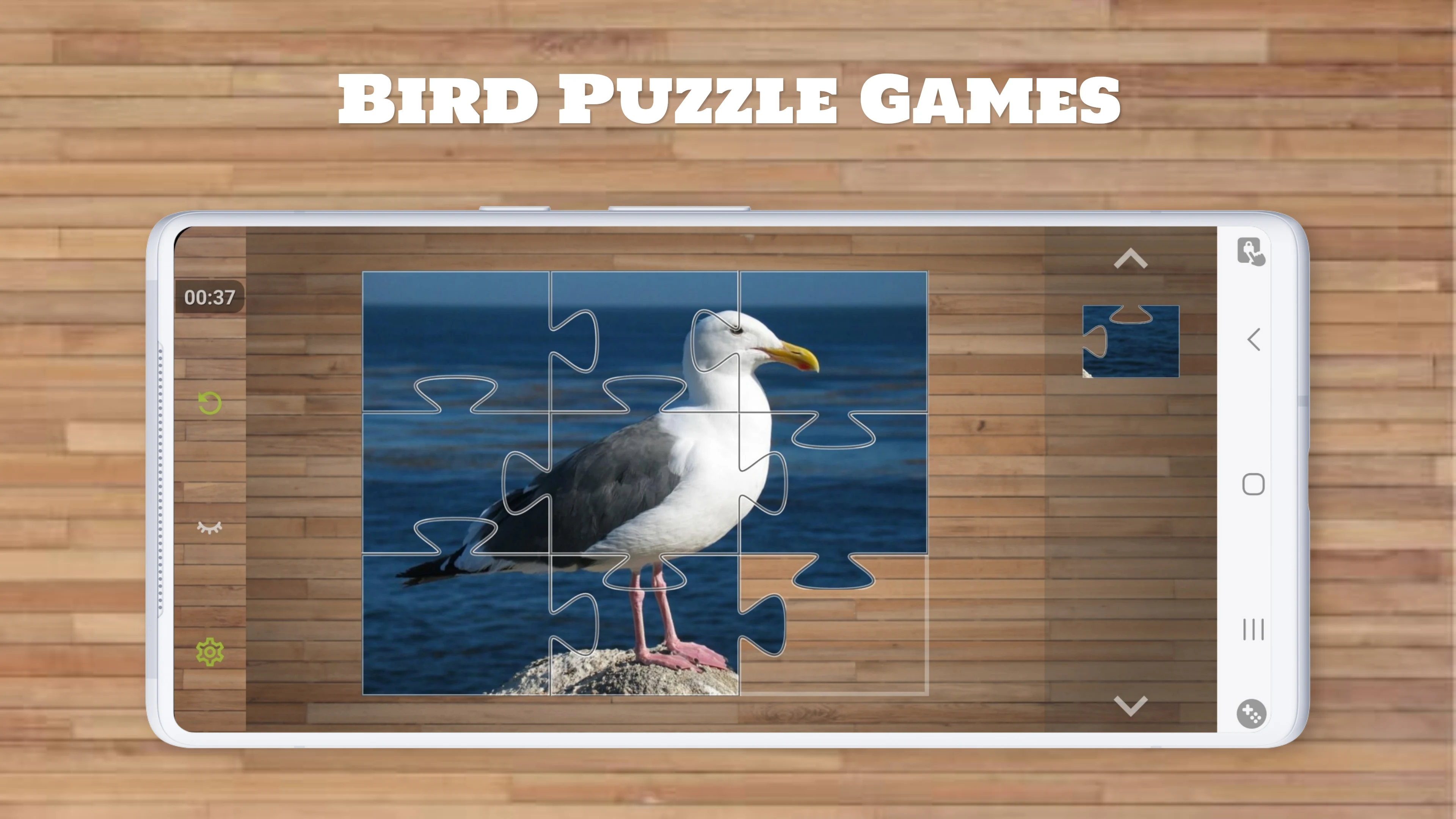 Bird Puzzle Games screenshot