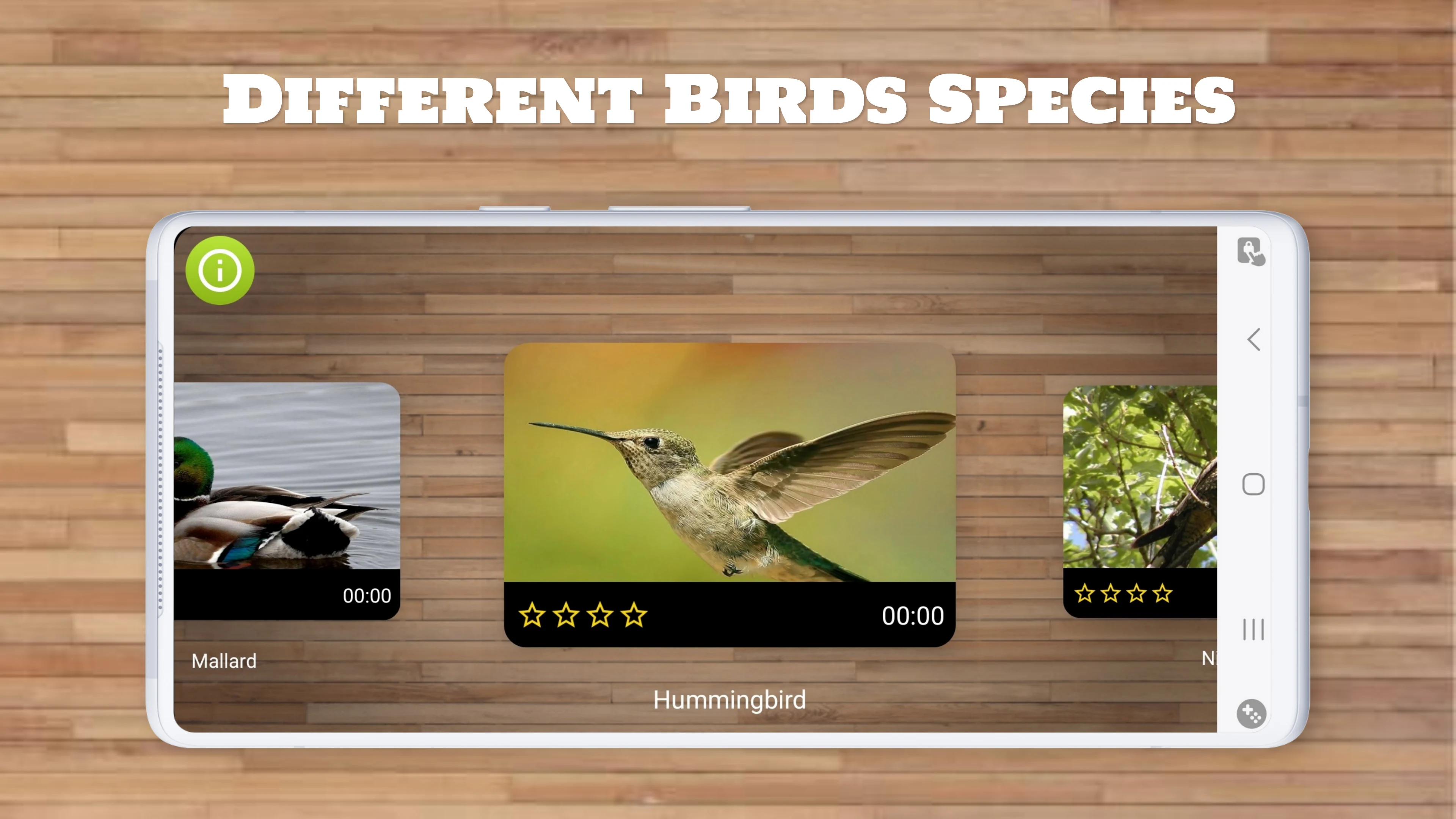 Bird Puzzle Games screenshot