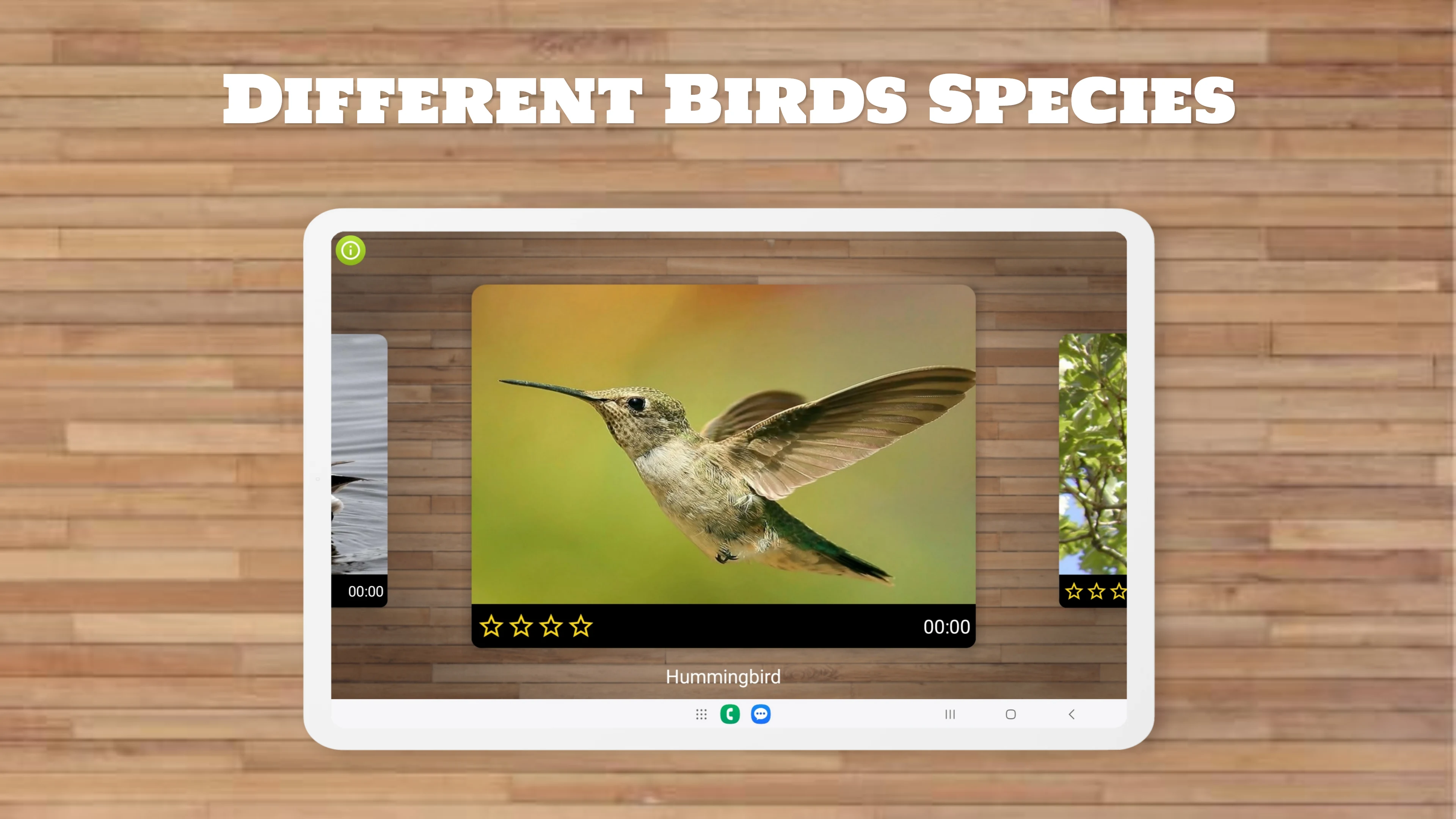 Bird Puzzle Games screenshot