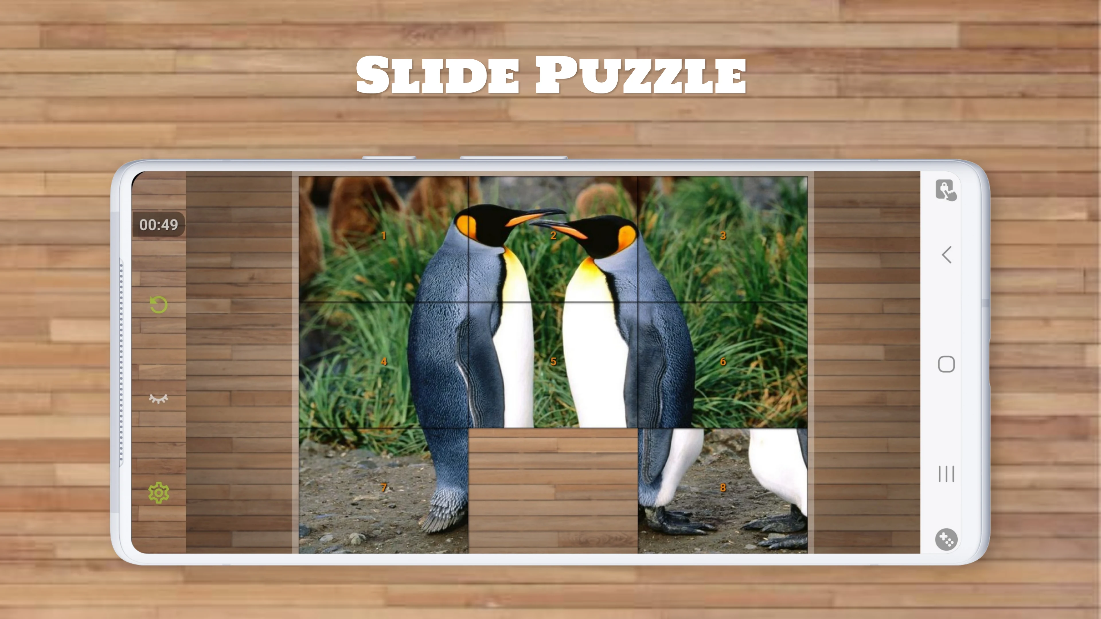 Bird Puzzle Games screenshot