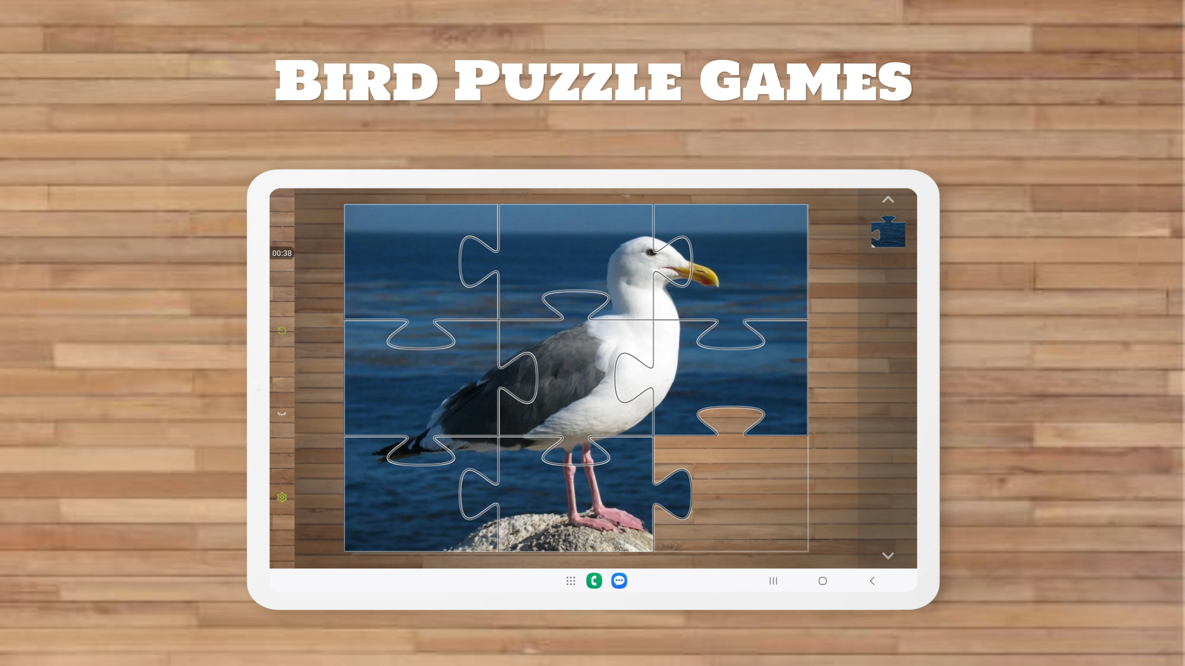 Bird Puzzle Games screenshot