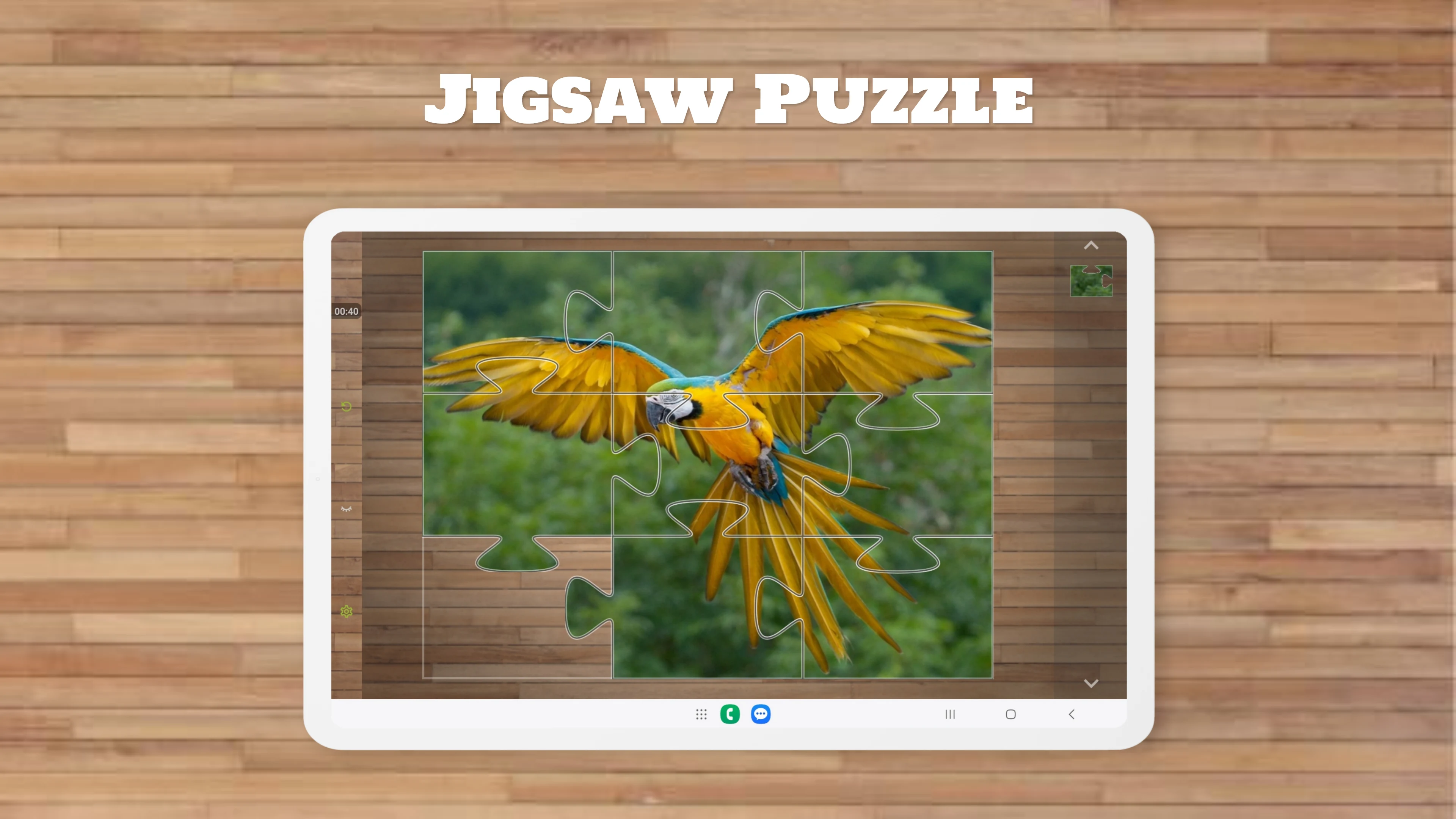 Bird Puzzle Games screenshot